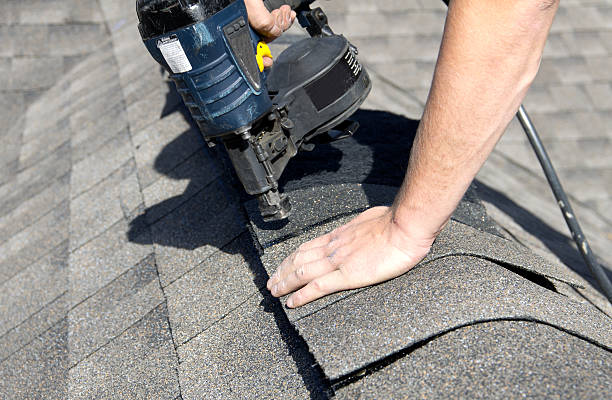 Trusted Horizon West, FL Roofing service Experts